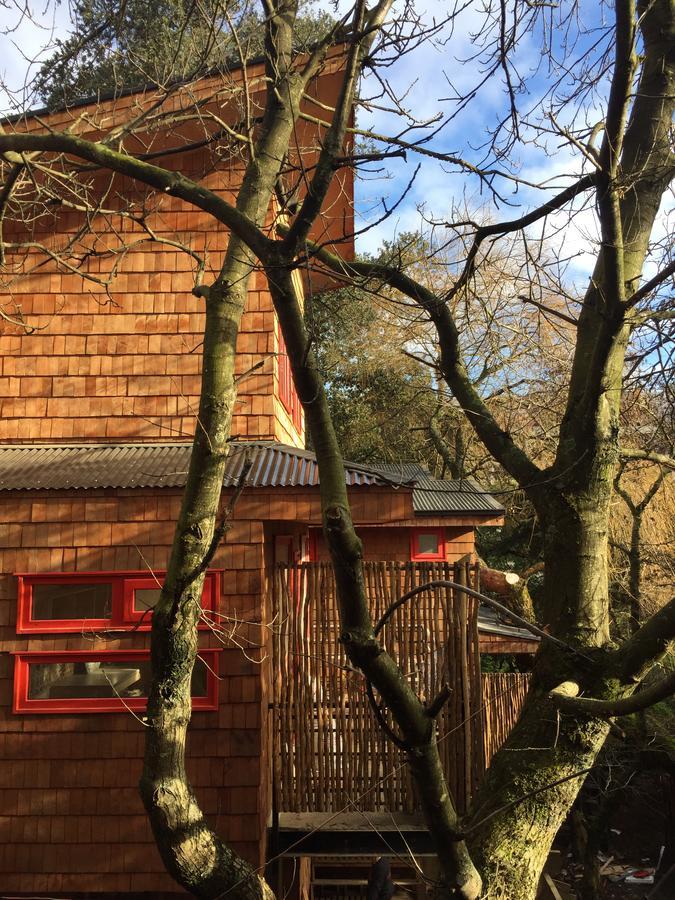 Almabosque Cabanas Puerto Varas Exterior foto